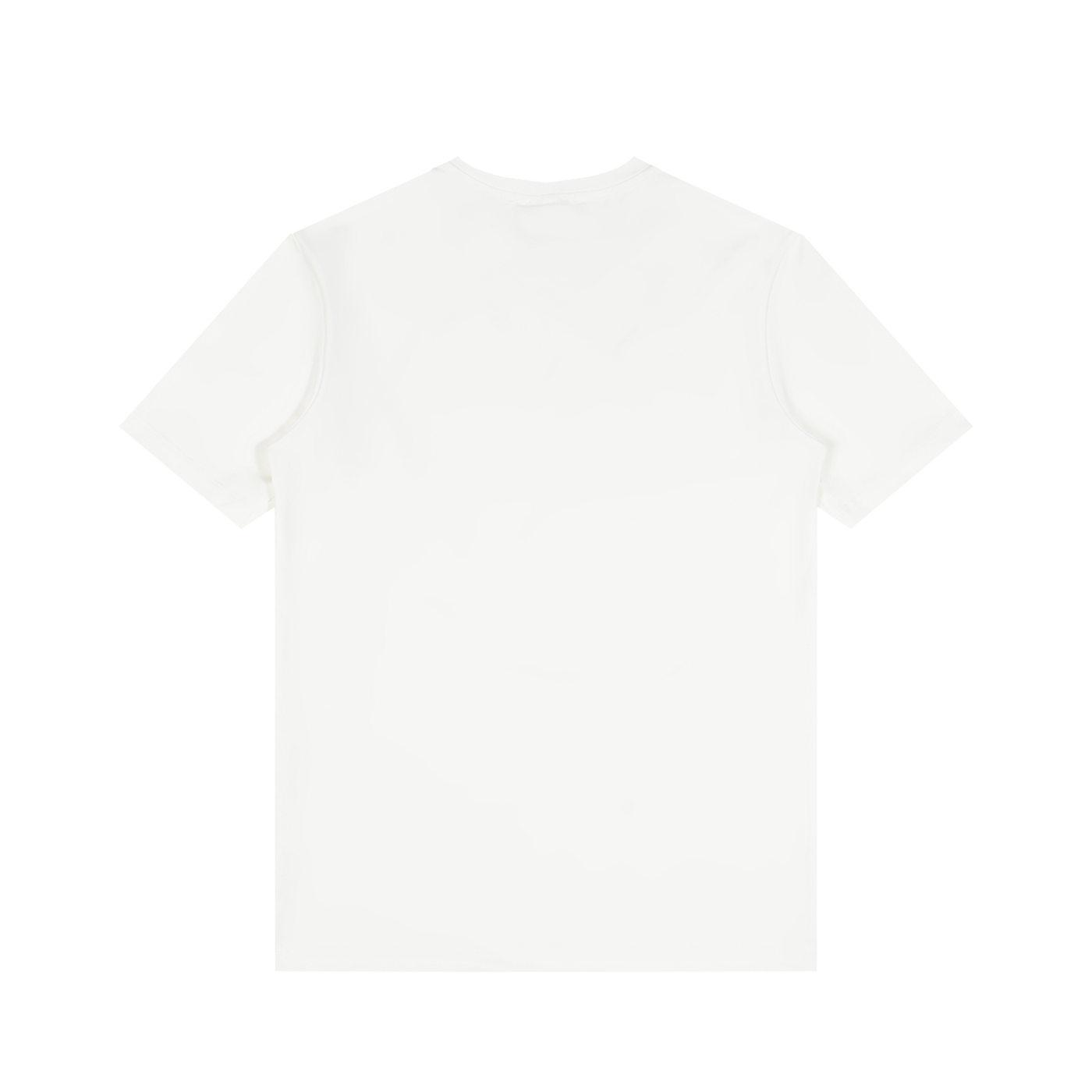Men's Solid V-Neck T-Shirt (Fabric Blend)
